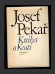 Kniha o Kosti - náhled
