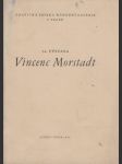 54. výstava Vincent Morstadt - náhled