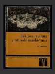 Jak jsou zvířata v přírodě maskována - náhled