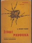 Život pavouka - náhled