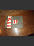 Brno Turistický průvodce - náhled
