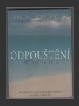 Odpouštění - náhled