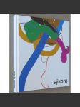 Zdeněk Sýkora [německá verze; německy; abstraktní umění; katalog; monografie; GHMP] - náhled