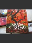 Krása stromů - náhled