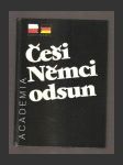 Češi, Němci, odsun - náhled