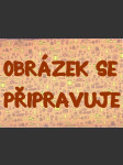 Autem do zahraničí šíd - náhled