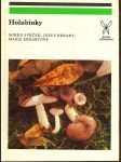 HOLUBINKY Svrček Mirko, Erhart Josef, Erhartová Ma - náhled