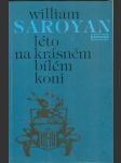 Léto na krásném bílem koni - náhled