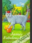 James, Fabulous Feline - náhled