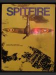 Spitfires and yellow tail mustangs - náhled