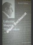 Labyrint - shapira - třináct oken - sidon efraim karol - náhled