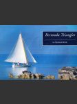 Bermuda Triangles - náhled