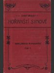 Hořanští synové - náhled