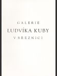 Galerie Ludvíka Kuby v Březnici - náhled