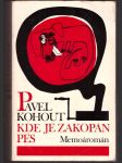 Kde je zakopán pes kohout pavel - náhled