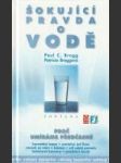 Džungle před tabulí - náhled